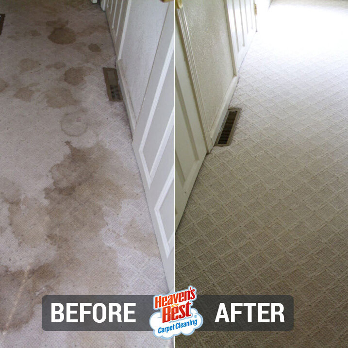 Heaven's Best Carpet Cleaning of Tulare and Reedley CA